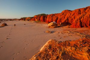 A n early evening sunset casting orange light on cliffs at beach